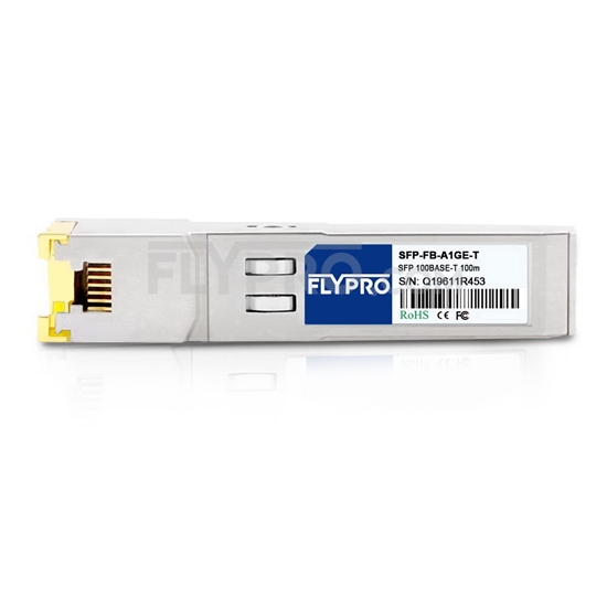Image de Extreme Networks MGBIC-100BT Compatible Module SFP 100BASE-T en Cuivre RJ-45 100m