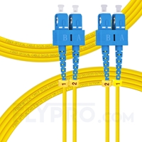 3m (10ft) SC UPC to SC UPC Duplex OS2 Single Mode PVC (OFNR) 2.0mm Fiber Optic Patch Cable