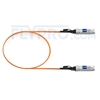 Picture of 1m (3ft) Dell Force10 CBL-10GSFP-AOC-1M Compatible 10G SFP+ Active Optical Cable
