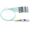 Picture of 1m (3ft) Fortinet FG-TRAN-QSFP-4XSFP Compatible 40G QSFP+ to 4x10G SFP+ Breakout Active Optical Cable