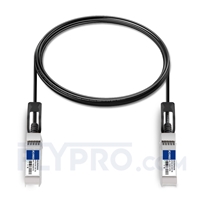 Generisch kompatibles 25G SFP28 Passives Kupfer Twinax Direct Attach Kabel (DAC), 3m (10ft)