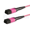 Picture of 1m (3ft) Senko MPO Female 12 Fibers Type B LSZH OM4 (OM3) 50/125 Multimode Elite Trunk Cable, Magenta