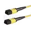 Picture of 1m (3ft) Senko MPO Female 12 Fibers Type B LSZH OS2 9/125 Single Mode Elite Trunk Cable, Yellow