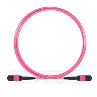MPO Trunkkabel, 3m (10ft) Senko MPO Female 12 Fasern, Polarität B, LSZH, OM4 (OM3) 50/125 Multimode, Elite, Magenta
