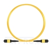 Picture of 3m (10ft) Senko MPO Female 12 Fibers Type B LSZH OS2 9/125 Single Mode Elite Trunk Cable, Yellow