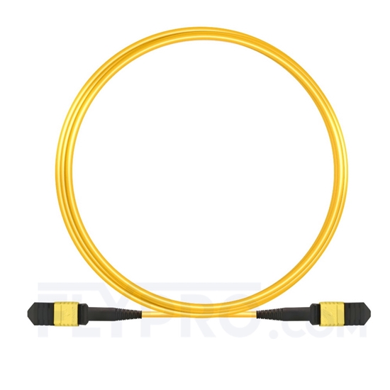 Image de 5m Senko MPO Femelle 12 Fibres OS2 9/125 Câble Trunk Monomode, Type A, Élite, LSZH, Jaune