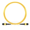 10m (33ft) Senko MPO Female 12 Fibers Type A LSZH OS2 9/125 Single Mode Elite Trunk Cable, Yellow