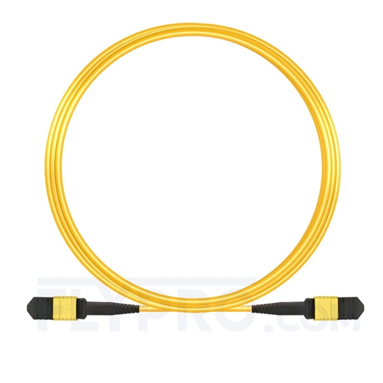Image de 10m Senko MPO Femelle 12 Fibres OS2 9/125 Câble Trunk Monomode, Type A, Élite, LSZH, Jaune
