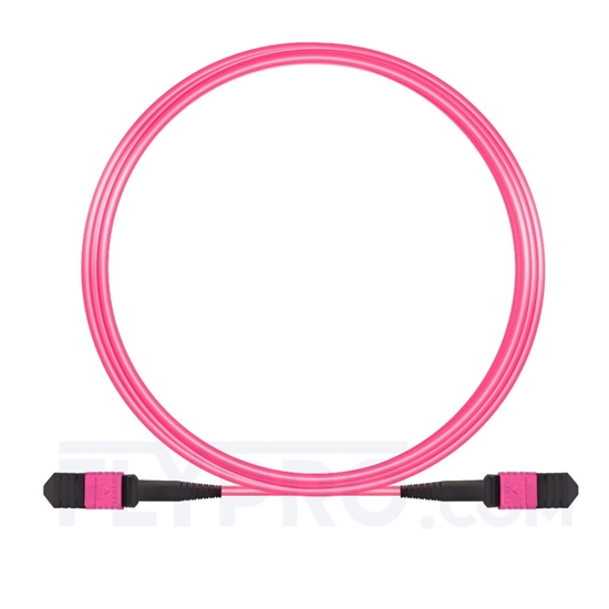Picture of 5m (16ft) Senko MPO Female 12 Fibers Type A LSZH OM4 (OM3) 50/125 Multimode Elite Trunk Cable, Magenta
