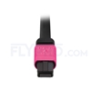 Picture of 5m (16ft) Senko MPO Female 12 Fibers Type A LSZH OM4 (OM3) 50/125 Multimode Elite Trunk Cable, Magenta