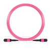 Picture of 10m (33ft) Senko MPO Female 12 Fibers Type A LSZH OM4 (OM3) 50/125 Multimode Elite Trunk Cable, Magenta