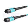 Picture of 1m (3ft) MPO Female 12 Fibers Type B LSZH OM3 50/125 Multimode Elite Trunk Cable, Aqua