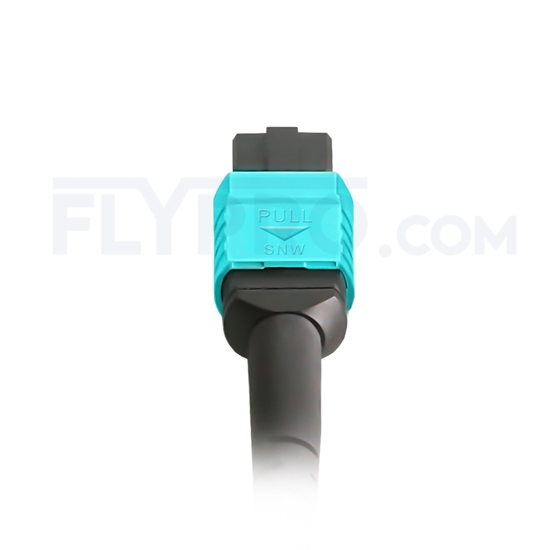 Picture of 5m (16ft) MPO Female 12 Fibers Type A LSZH OM3 50/125 Multimode Elite Trunk Cable, Aqua
