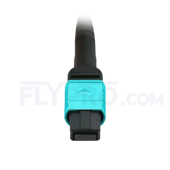 Picture of 5m (16ft) MPO Female 12 Fibers Type A LSZH OM3 50/125 Multimode Elite Trunk Cable, Aqua
