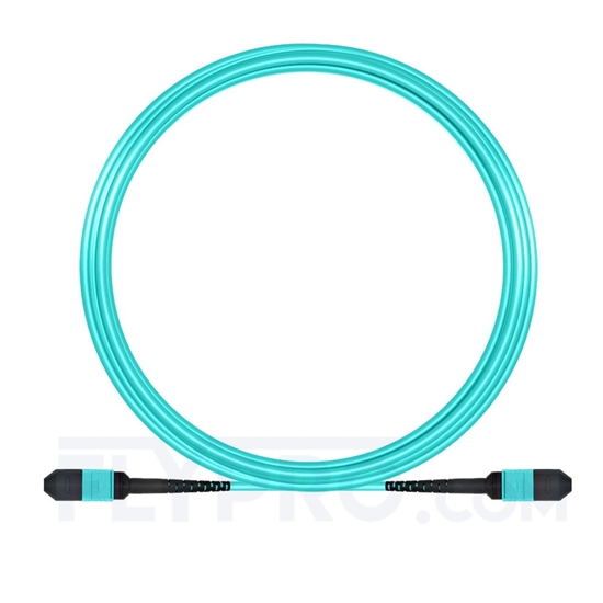 Picture of 10m (33ft) MPO Female 12 Fibers Type A LSZH OM3 50/125 Multimode Elite Trunk Cable, Aqua