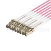 Picture of 5m (16ft) Senko MPO Female to 4 LC UPC Duplex 8 Fibers Type B LSZH OM4 (OM3) 50/125 Multimode Elite Breakout Cable, Magenta