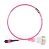 Picture of 2m (7ft) Senko MPO Female to 4 LC UPC Duplex 8 Fibers Type B LSZH OM4 (OM3) 50/125 Multimode Elite Breakout Cable, Magenta