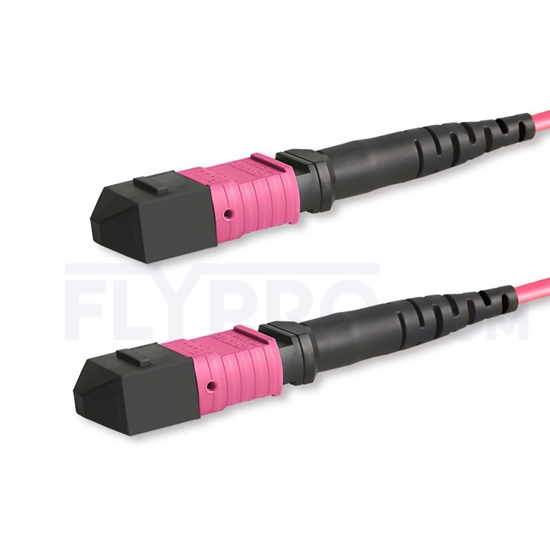 Picture of 1m (3ft) MTP Trunk Cable Female 12 Fibers Type B LSZH OM4 (OM3) 50/125 Multimode Elite, Magenta