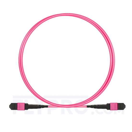 Picture of 2m (7ft) MTP Trunk Cable Female 12 Fibers Type B LSZH OM4 (OM3) 50/125 Multimode Elite, Magenta