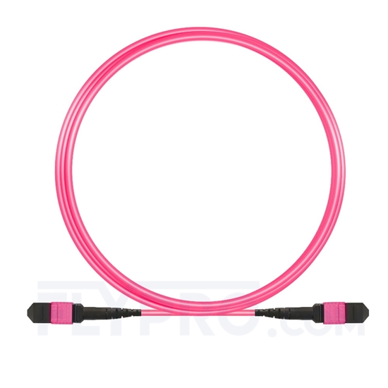 Picture of 3m (10ft) MTP Trunk Cable Female 12 Fibers Type B LSZH OM4 (OM3) 50/125 Multimode Elite, Magenta
