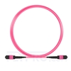 3m (10ft) MTP Patchkabel Female 12 Fasern, Polarität B, LSZH, OM4 (OM3) 50/125 Multimode, Elite, Magenta