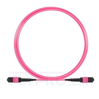 3m (10ft) MTP Patchkabel Female 12 Fasern, Polarität B, LSZH, OM4 (OM3) 50/125 Multimode, Elite, Magenta