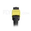 Picture of 3m (10ft) MTP Trunk Cable Female 12 Fibers Type B LSZH OS2 9/125 Single Mode Elite, Yellow