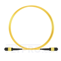 1M (3ft) MTP أنثى 12 Fibers Type B Plenum (OFNP) OS2 9/125 Single Elite Cable Trunk، Yellow