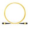Picture of 1m (3ft) MTP-MTP Patch Cable Female 12 Fibers Type B Plenum (OFNP) OS2 9/125 Single Mode Elite, Yellow