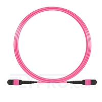 5m MTP Femelle 24 Fibres OM4 (OM3) 50/125 Câble Trunk Multimode, 100GBASE-SR10 CXP/CFP/CPAK, Type A (TIA-568), Élite, Plénum (OFNP), Magenta