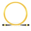 10m (33ft) MTP-MTP Patch Cable Female 12 Fibers Type A Plenum (LSZH) OS2 9/125 Single Mode Elite, Yellow