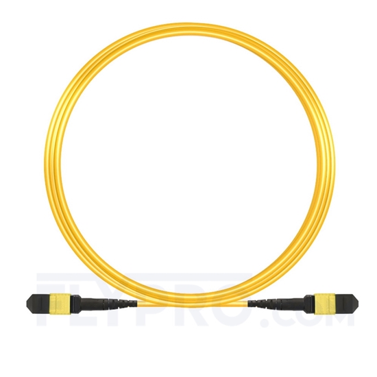 Picture of 10m (33ft) MTP-MTP Patch Cable Female 12 Fibers Type A Plenum (LSZH) OS2 9/125 Single Mode Elite, Yellow