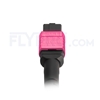 Picture of 5m (16ft) MTP-MTP Patch Cable Female 12 Fibers Type A Plenum (OFNP) OM4 (OM3) 50/125 Multimode Elite, Magenta