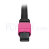 Picture of 5m (16ft) MTP-MTP Patch Cable Female 12 Fibers Type A Plenum (OFNP) OM4 (OM3) 50/125 Multimode Elite, Magenta