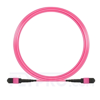 10m (33ft) MTP-MTP Patch Cable Female 12 Fibers Type A Plenum (OFNP) OM4 (OM3) 50/125 Multimode Elite, Magenta