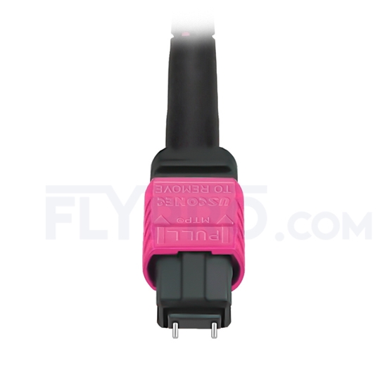 Image de 3m MTP Mâle 12 Fibres OM4 (OM3) 50/125 Câble Trunk Multimode, Type B, Élite, Plénum (OFNP), Magenta