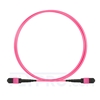 2m (7ft) MTP Patchkabel Female 24 Fasern, Polarität A (TIA-568) Plenum (OFNP) OM4 (OM3) 50/125 Multimode, Elite, 100GBASE-SR10 CXP/CFP/CPAK, Magenta