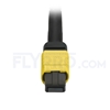 Picture of 1m (3ft) MTP Trunk Cable Female 24 Fibers Type A (TIA-568) Plenum (LSZH) OS2 9/125 Single Mode Elite, CPAK-10x10G-LR, Yellow