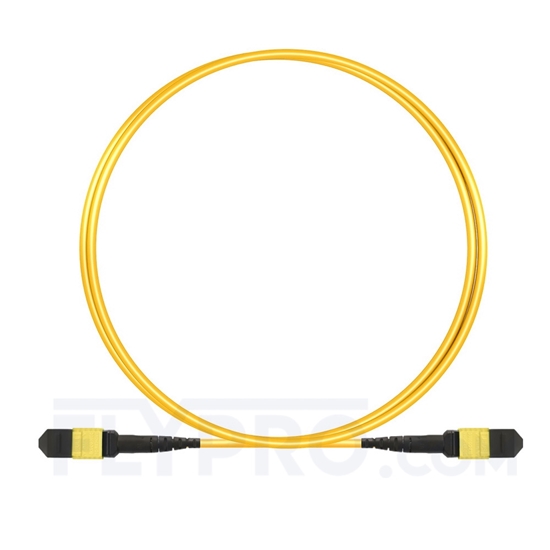 Picture of 2m (7ft) MTP Trunk Cable Female 24 Fibers Type A (TIA-568) Plenum (LSZH) OS2 9/125 Single Mode Elite, CPAK-10x10G-LR, Yellow