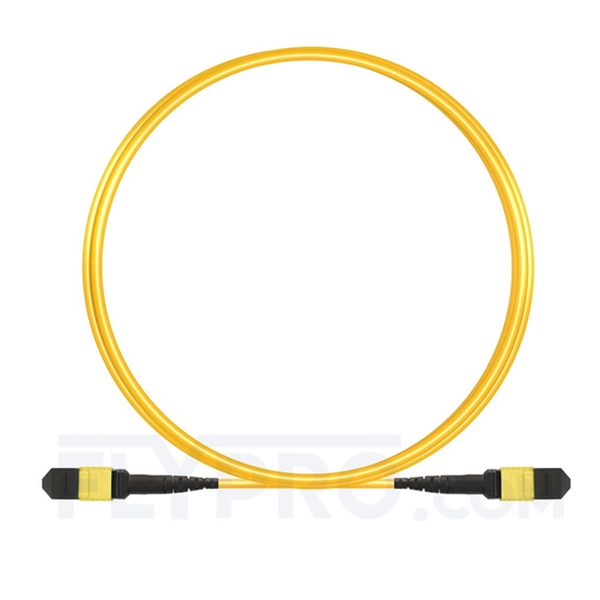 Picture of 3m (10ft) MTP Trunk Cable Female 24 Fibers Type A (TIA-568) Plenum (LSZH) OS2 9/125 Single Mode Elite, CPAK-10x10G-LR, Yellow
