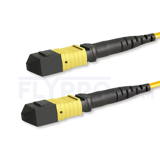 Picture of 10m (33ft) MTP-MTP Patch Cable Female 24 Fibers Type A (TIA-568) Plenum (LSZH) OS2 9/125 Single Mode Elite, CPAK-10x10G-LR, Yellow
