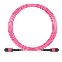 15 M (49ft) MTP أنثى 12 Fibers Type A Plenum (OFNP) OM4 (OM3) 50/125 Multitode Elite Trunk Cable، Magenta