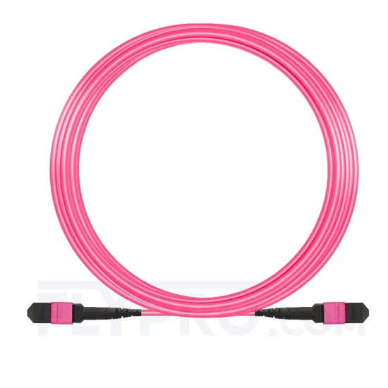 Picture of 15m (49ft) MTP-MTP Patch Cable Female 12 Fibers Type A Plenum (LSZH) OM4 (OM3) 50/125 Multimode Elite, Magenta