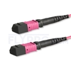 Picture of 15m (49ft) MTP-MTP Patch Cable Female 12 Fibers Type A Plenum (LSZH) OM4 (OM3) 50/125 Multimode Elite, Magenta
