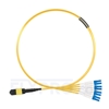 Image de 2m MTP Femelle vers 4 LC UPC Duplex 8 Fibres OS2 9/125 Câble Breakout Monomode, Type B, Élite, LSZH, Jaune