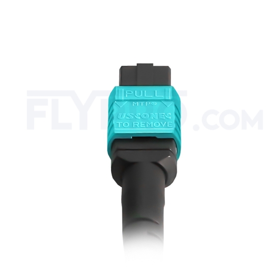 Picture of 1m (3ft) MTP Female to 4 LC UPC Duplex 8 Fibers Type B LSZH OM3 50/125 Multimode Elite Breakout Cable, Aqua