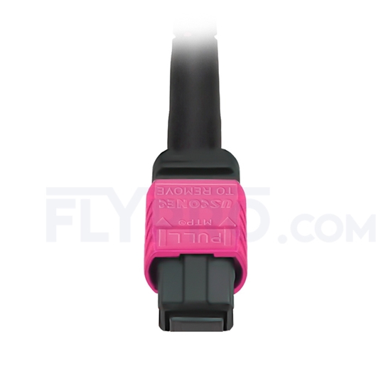 Picture of 5m (16ft) MTP Female to 4 LC UPC Duplex 8 Fibers Type B LSZH OM4 (OM3) 50/125 Multimode Elite Breakout Cable, Magenta
