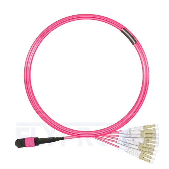 Picture of 5m (16ft) MTP Female to 6 LC UPC Duplex 12 Fibers Type A LSZH OM4 (OM3) 50/125 Multimode Elite Breakout Cable, Magenta