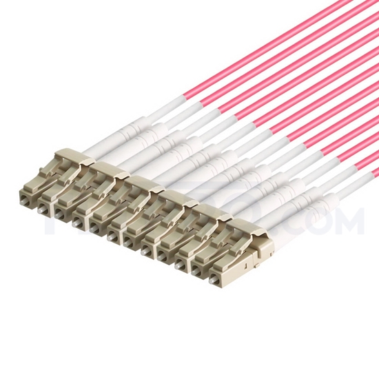 Picture of 5m (16ft) MTP Female to 6 LC UPC Duplex 12 Fibers Type A LSZH OM4 (OM3) 50/125 Multimode Elite Breakout Cable, Magenta