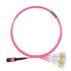 Picture of 3m (10ft) MTP Male to 6 LC UPC Duplex 12 Fibers Type A Plenum (OFNP) OM4 (OM3) 50/125 Multimode Elite Breakout Cable, Magenta